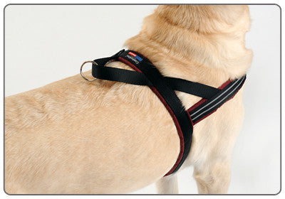 ComfortFlex Sport Harness The Uncommon Hound
