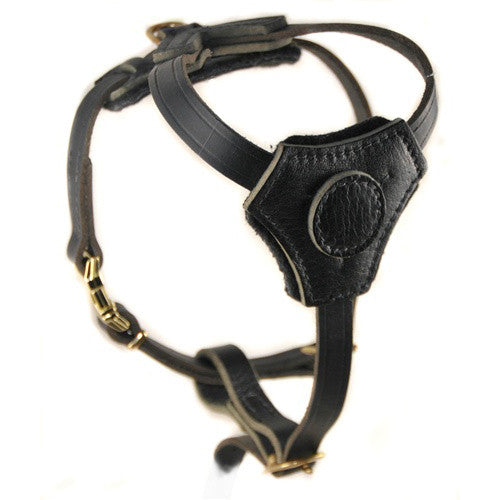 The Dean & Tyler "Classic Knight" for puppies Harness