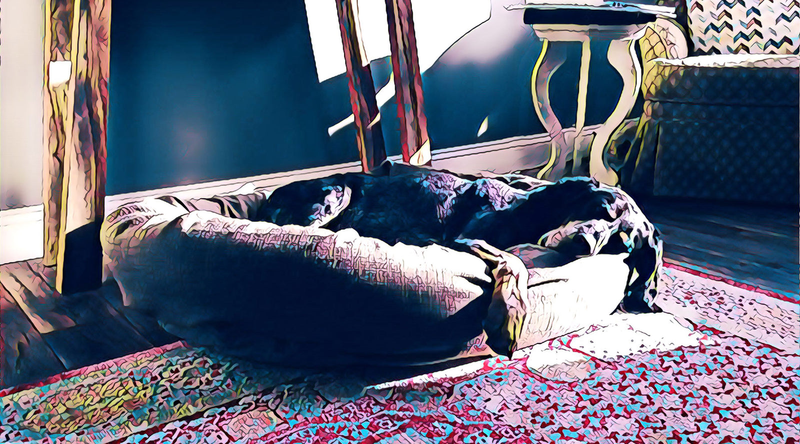 Shadow on a Bowsers dog bed