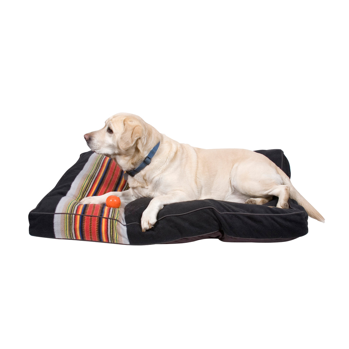 lab on Acadia National Park Dog Bed