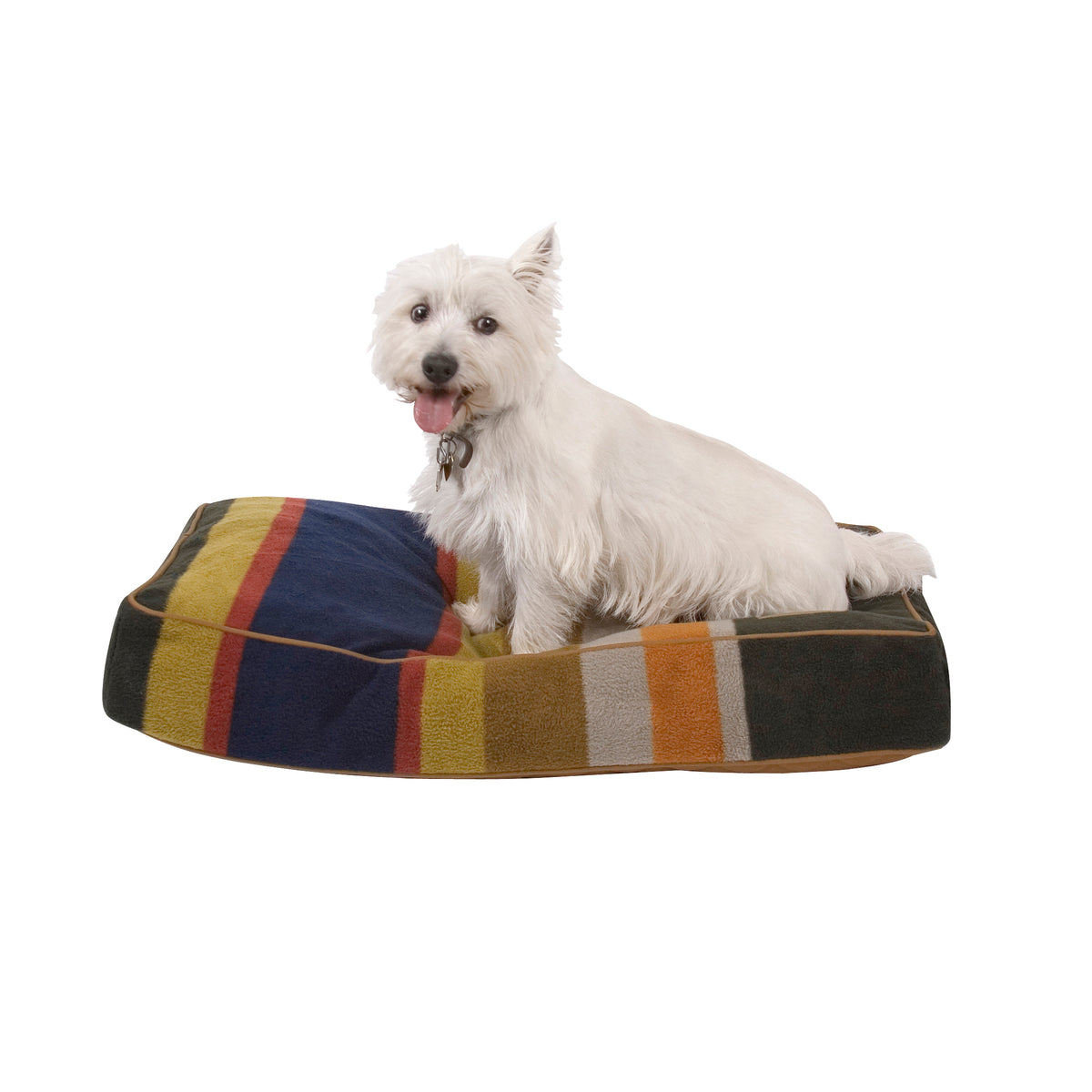 terrier on Badlands National Park Dog Bed