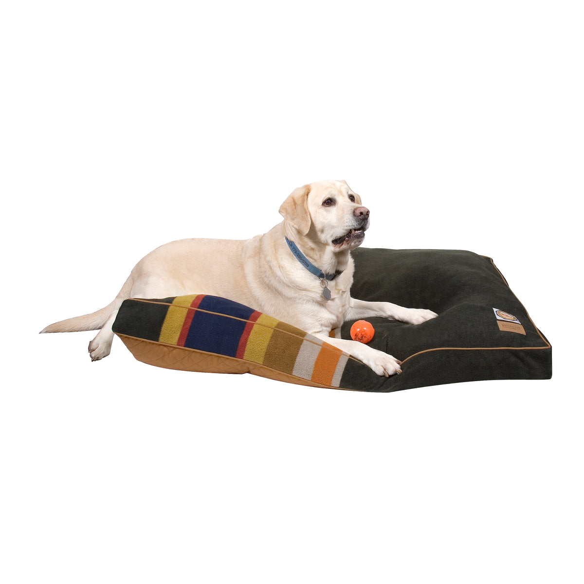 lab on Badlands National Park Dog Bed