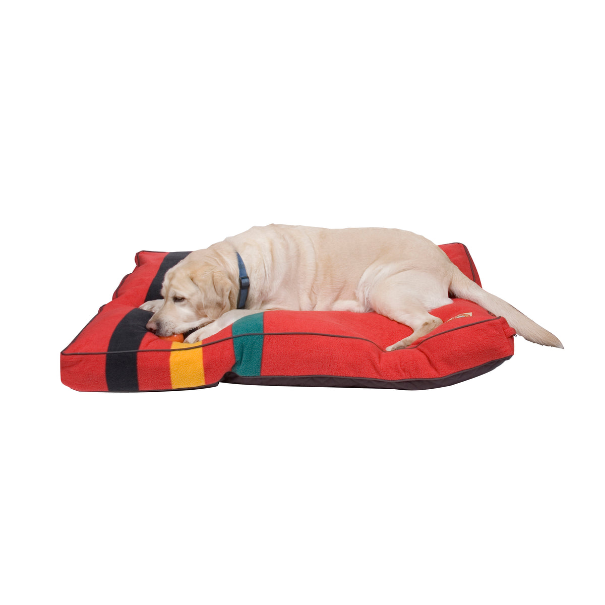 Mount Rainier Lake National Park Dog Bed