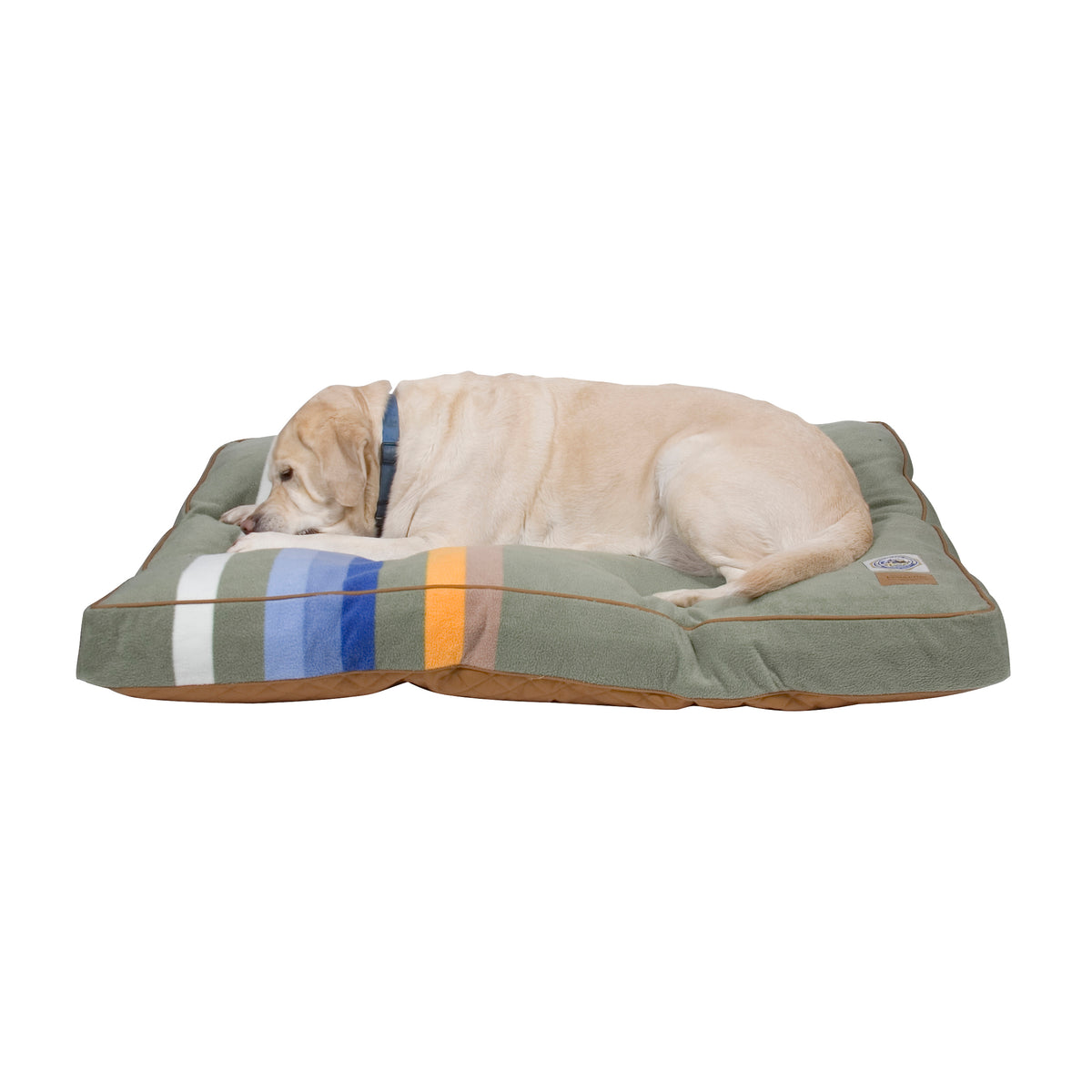 Lab on Rocky Mountain National Park Dog Bed
