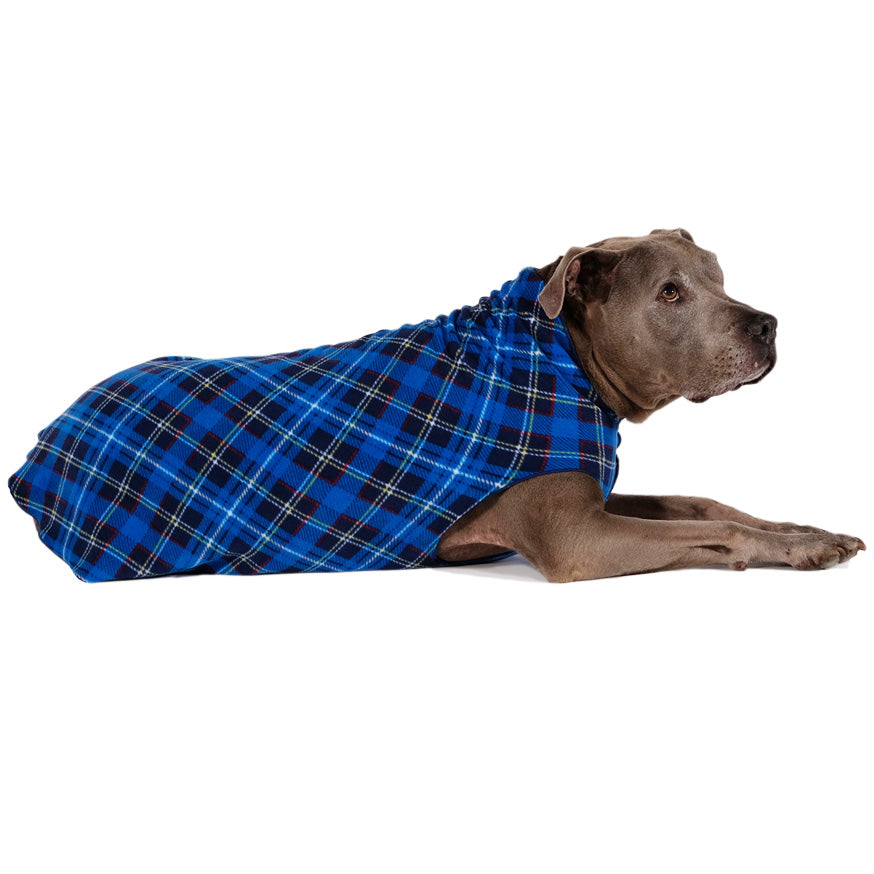 Gold Paw Stretch Fleece in Blue Plaid