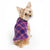 Gold Paw Stretch Fleece in Blue Plaid