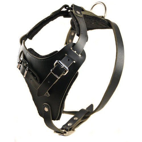 The Dean &amp; Tyler &quot;The Boss&quot; Harness
