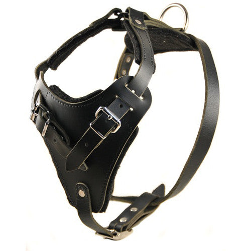 The Dean & Tyler "The Boss" Harness