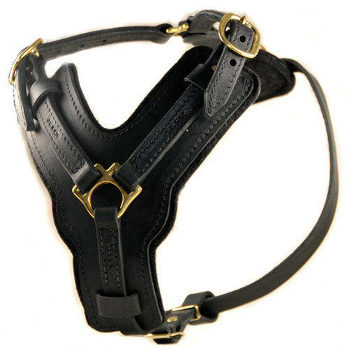 The Dean & Tyler "The Victory" Harness