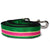 Preppy Leash