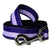 Purple Rain Leash