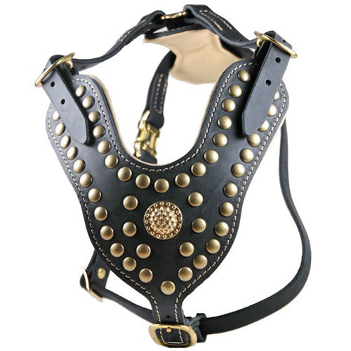 The Dean & Tyler "Royal Stud" Harness