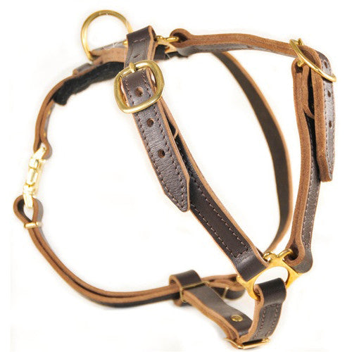 The Dean &amp; Tyler &quot;Tyler&#39;s Choice&quot; Harness